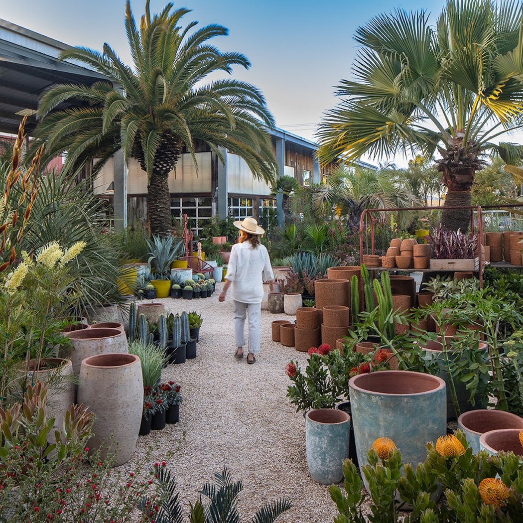 Flora Grubb Gardens Plant Nursery 3